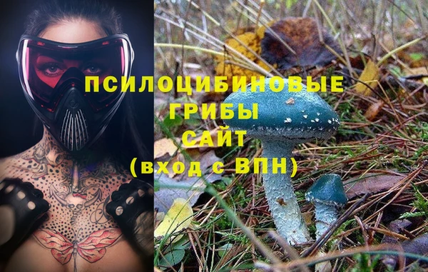 метамфетамин Ладушкин