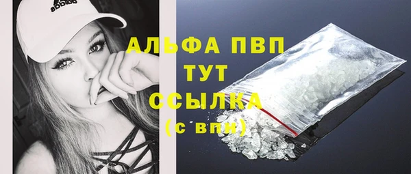 дживик Тавда