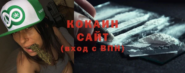 гидра Лагань