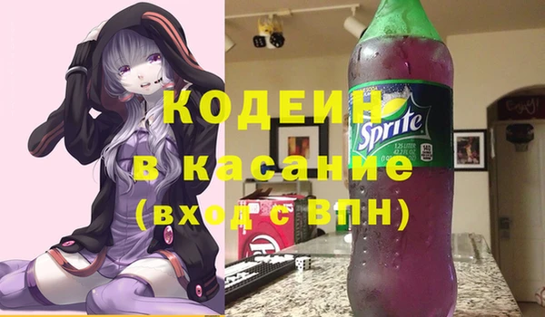 крисы Пересвет