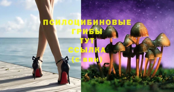 крисы Пересвет