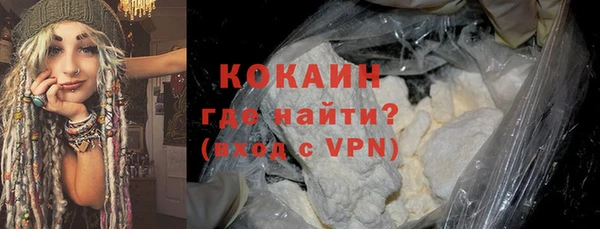 крисы Пересвет