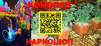 стаф Балахна