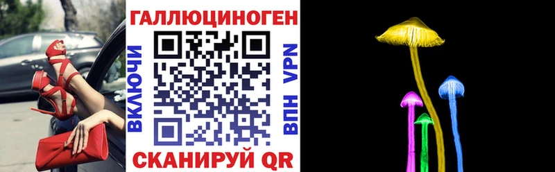 как найти наркотики  Благодарный  Галлюциногенные грибы MAGIC MUSHROOMS 