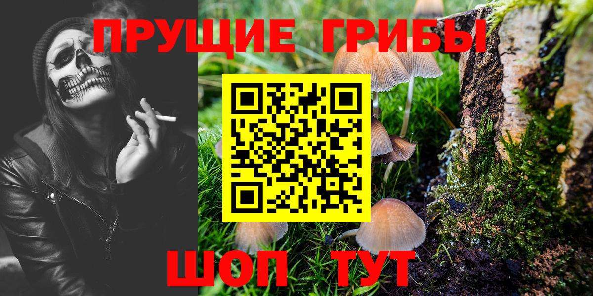 Псилоцибиновые грибы прущие грибы Благодарный
