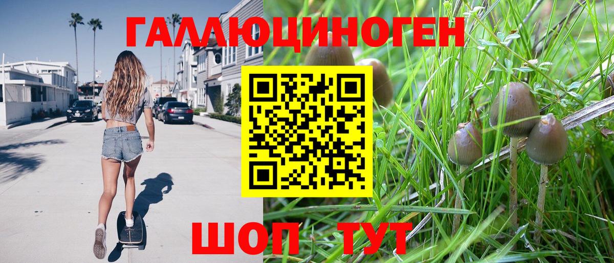 Псилоцибиновые грибы прущие грибы Благодарный