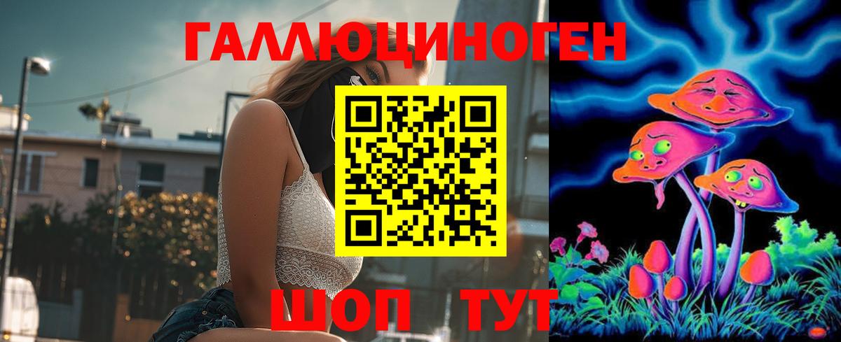 Псилоцибиновые грибы MAGIC MUSHROOMS  Вход с VPN  цены наркотик  Благодарный  Псилоцибиновые грибы Psilocybine cubensis 