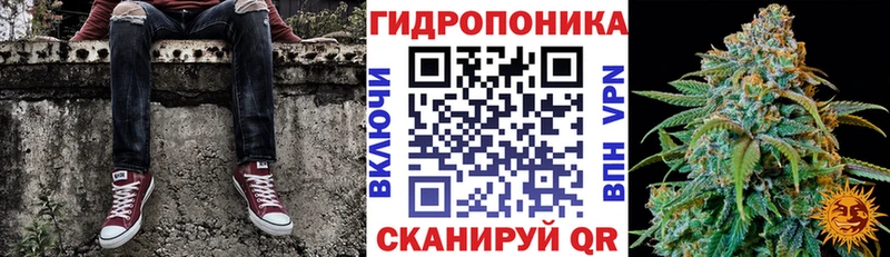 Шишки марихуана планчик Благодарный